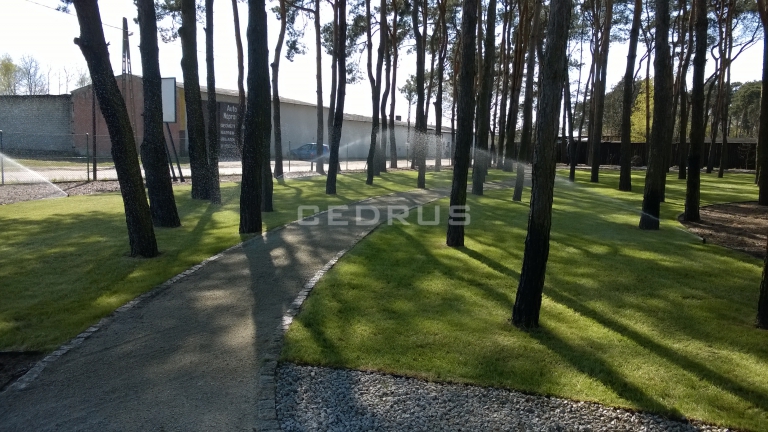 KARDAMON - restauracja