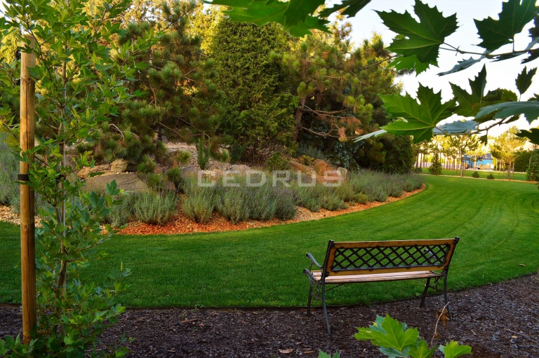 KACZORY DE-LUX - restauracja