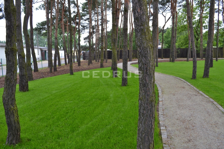 KARDAMON - restauracja