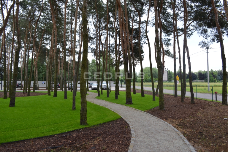 KARDAMON - restauracja