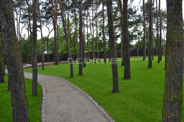 KARDAMON - restauracja