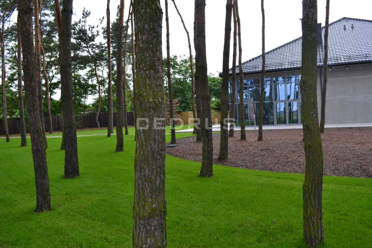 KARDAMON - restauracja