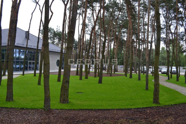 KARDAMON - restauracja