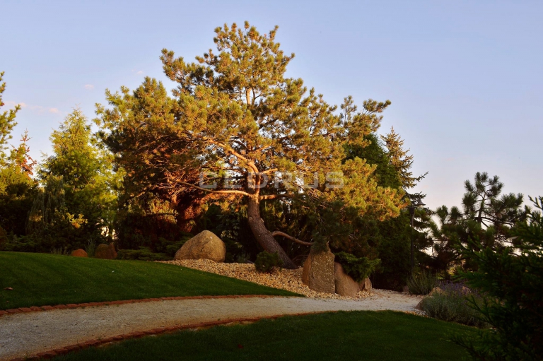 KACZORY DE-LUX - restauracja